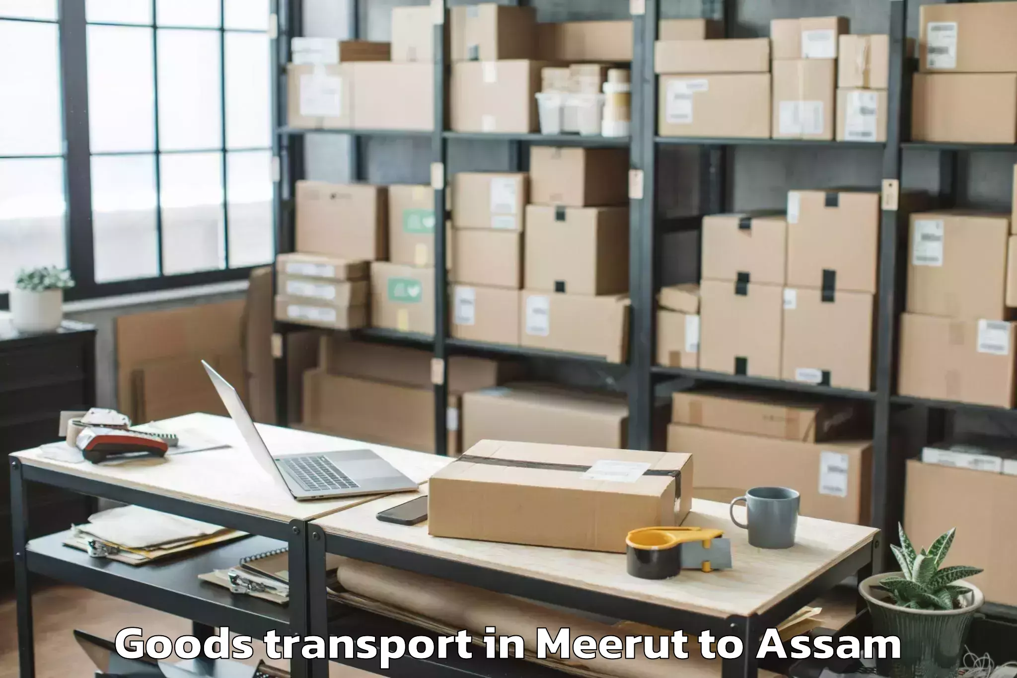 Professional Meerut to Agomani Goods Transport